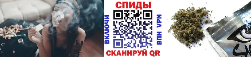 OMG ONION  Курчалой  Бутират буратино 